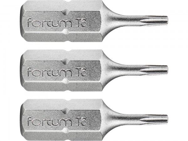 Fortum 4741406 hrot TORX