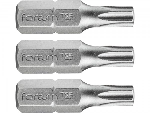 Fortum 4741425 hrot TORX